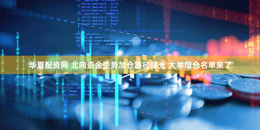 华夏配资网 北向资金逆势加仓路径曝光 大举增仓名单来了