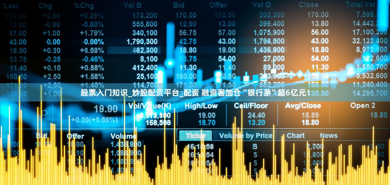 股票入门知识_炒股配资平台_配资 融资客加仓“银行茅”超6亿元！