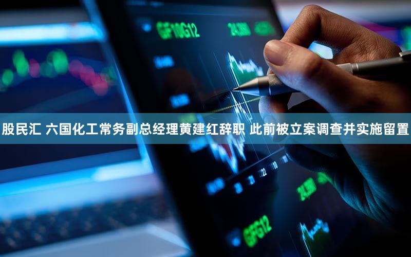 股民汇 六国化工常务副总经理黄建红辞职 此前被立案调查并实施留置