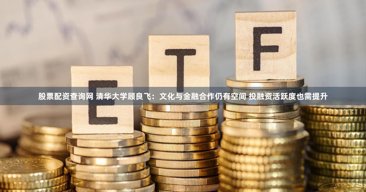 股票配资查询网 清华大学顾良飞：文化与金融合作仍有空间 投融资活跃度也需提升