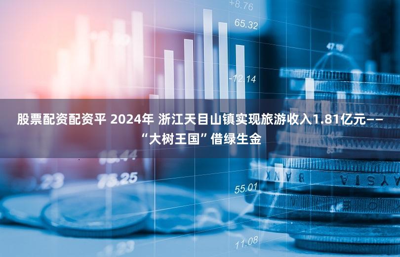 股票配资配资平 2024年 浙江天目山镇实现旅游收入1.81亿元——“大树王国”借绿生金