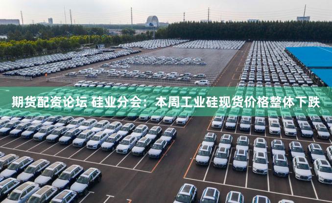 期货配资论坛 硅业分会：本周工业硅现货价格整体下跌