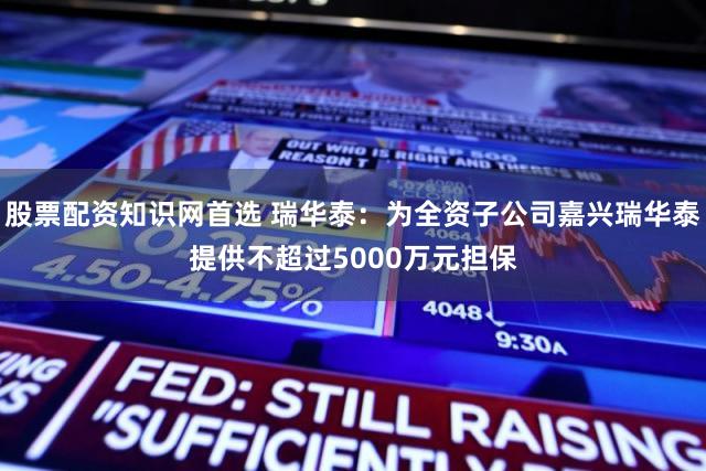 股票配资知识网首选 瑞华泰：为全资子公司嘉兴瑞华泰提供不超过5000万元担保