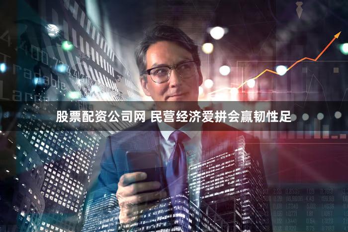 股票配资公司网 民营经济爱拼会赢韧性足