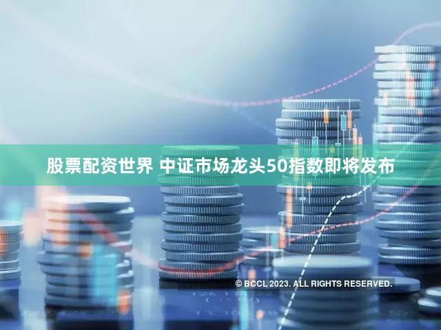 股票配资世界 中证市场龙头50指数即将发布