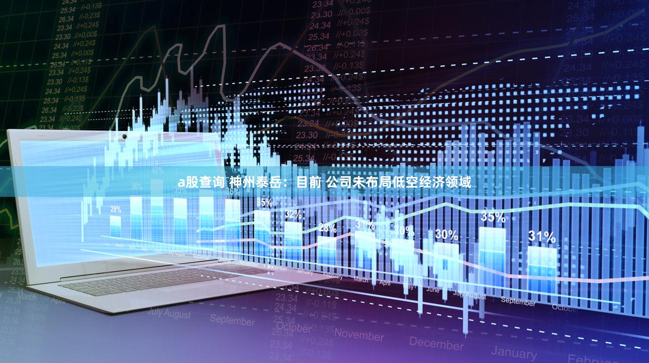 a股查询 神州泰岳：目前 公司未布局低空经济领域
