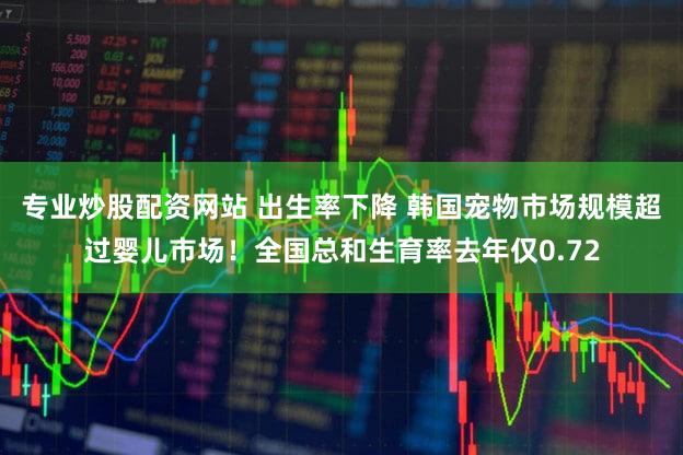 专业炒股配资网站 出生率下降 韩国宠物市场规模超过婴儿市场！全国总和生育率去年仅0.72