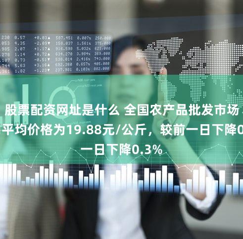股票配资网址是什么 全国农产品批发市场猪肉平均价格为19.88元/公斤，较前一日下降0.3%