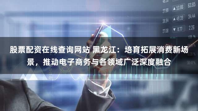 股票配资在线查询网站 黑龙江:培育拓展消费新场景,推动电子商务与各领域广泛深度融合