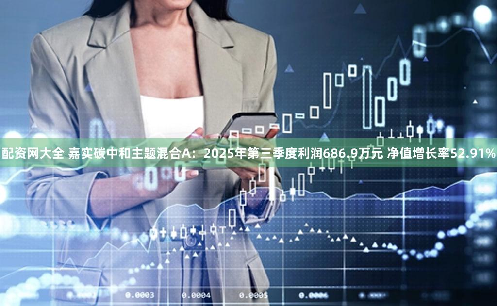 配资网大全 嘉实碳中和主题混合A：2025年第三季度利润686.9万元 净值增长率52.91%