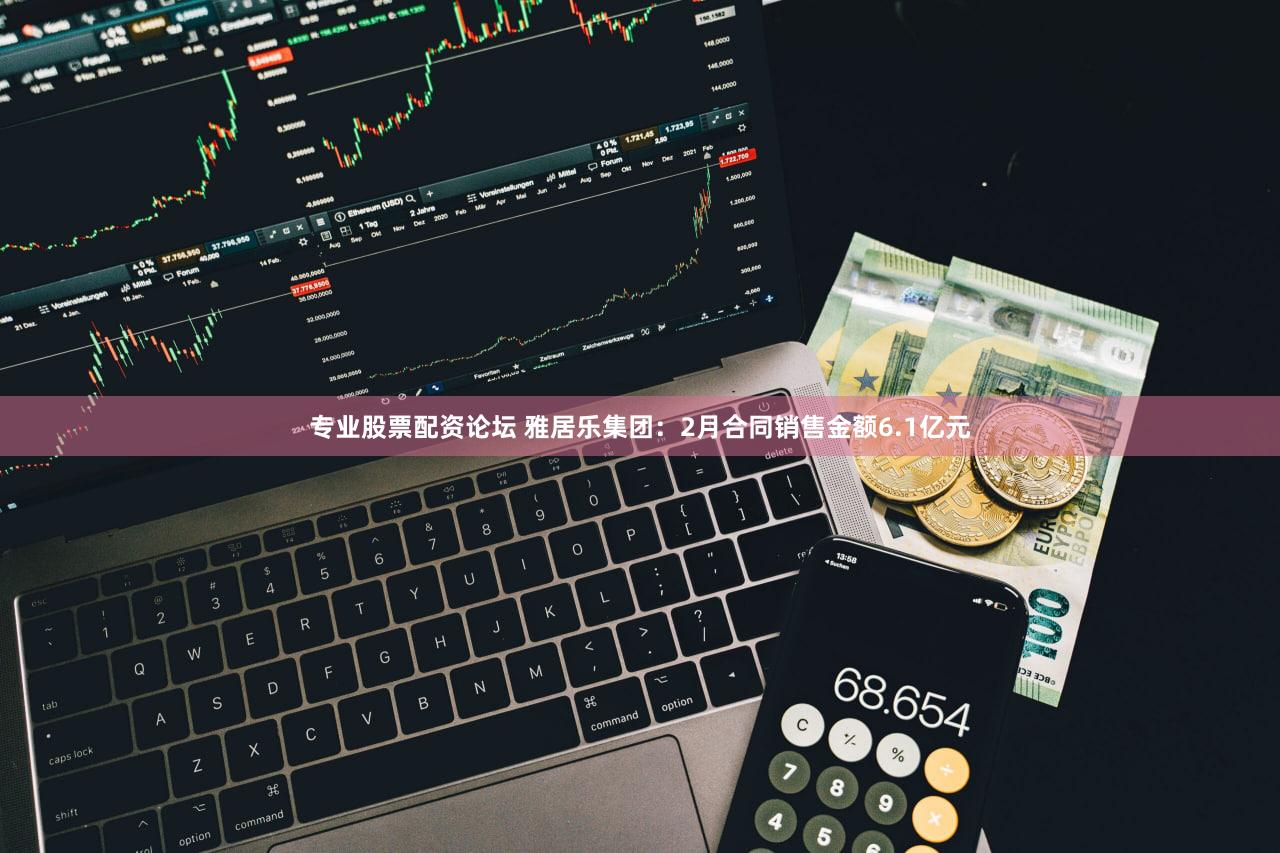 专业股票配资论坛 雅居乐集团：2月合同销售金额6.1亿元